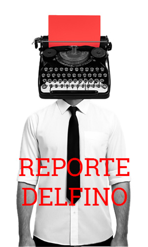 Reporte Delfino