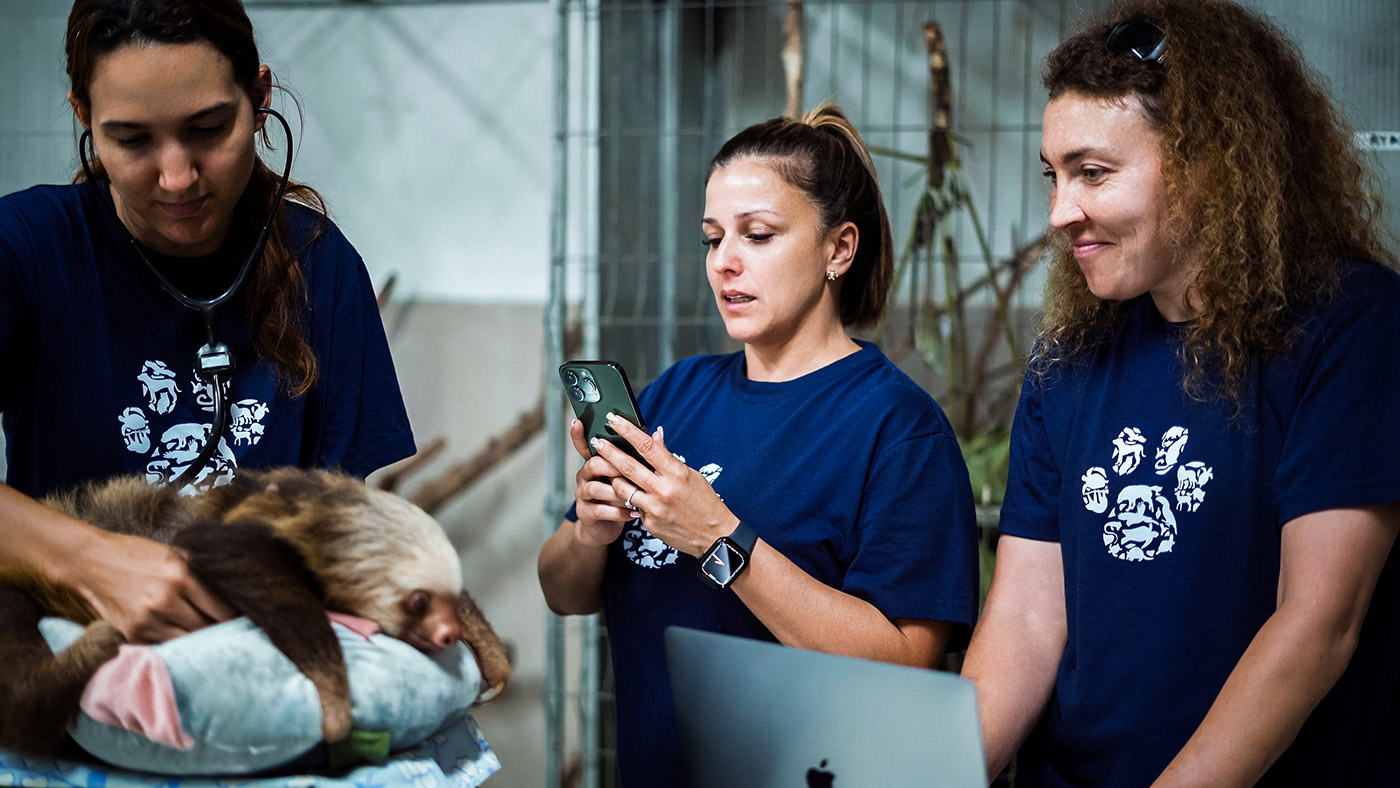 iCon: Conectando a gente única para generar un impacto positivo