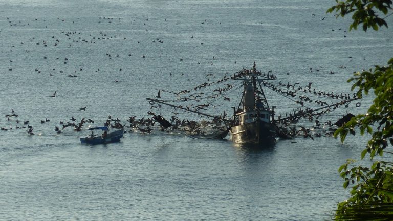 Ley de Arrastre llega a presidencia envuelta en polémica