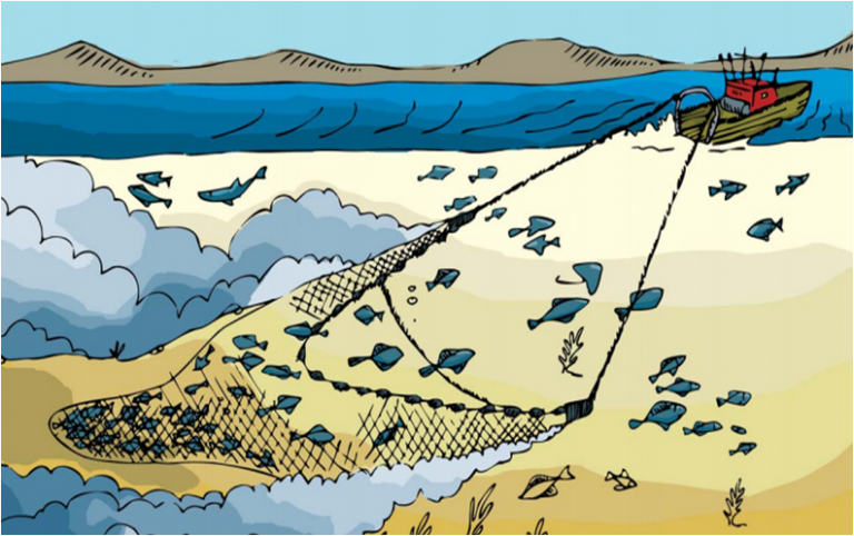 Los pescadores de camarón sacuden el Congreso