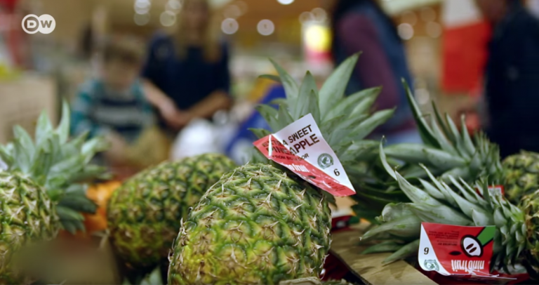 A propósito de un reportaje sobre la piña costarricense difundido por la DW (Alemania)