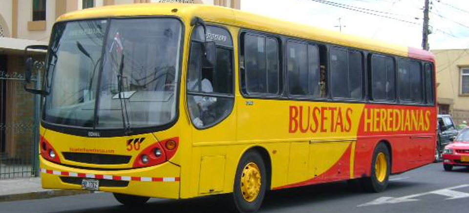 Imagen principal del artículo: Busetas Heredianas pierde concesión por irrespetar derechos de adultos mayores