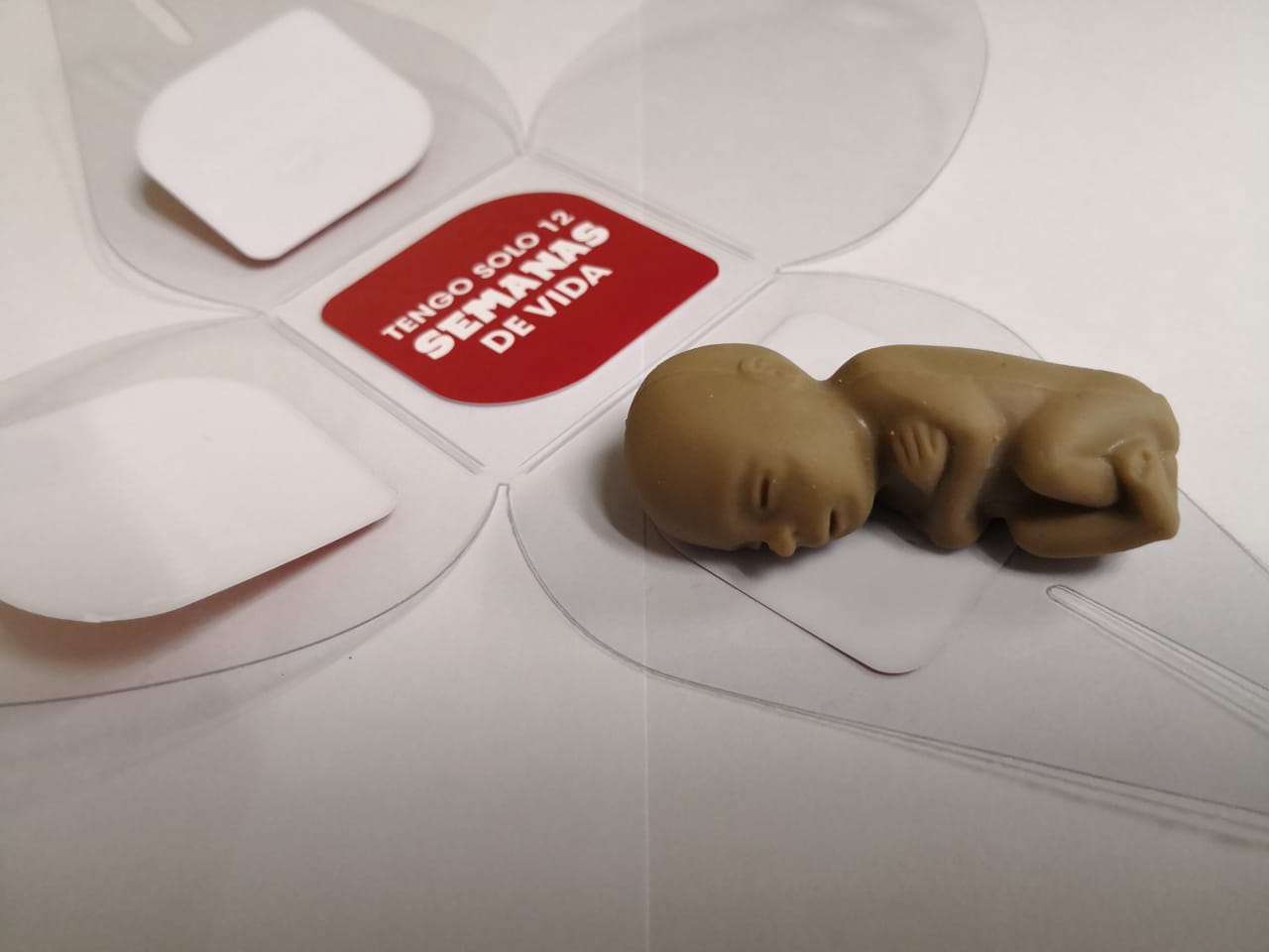 Imagen principal del artículo: Lunes de fetos