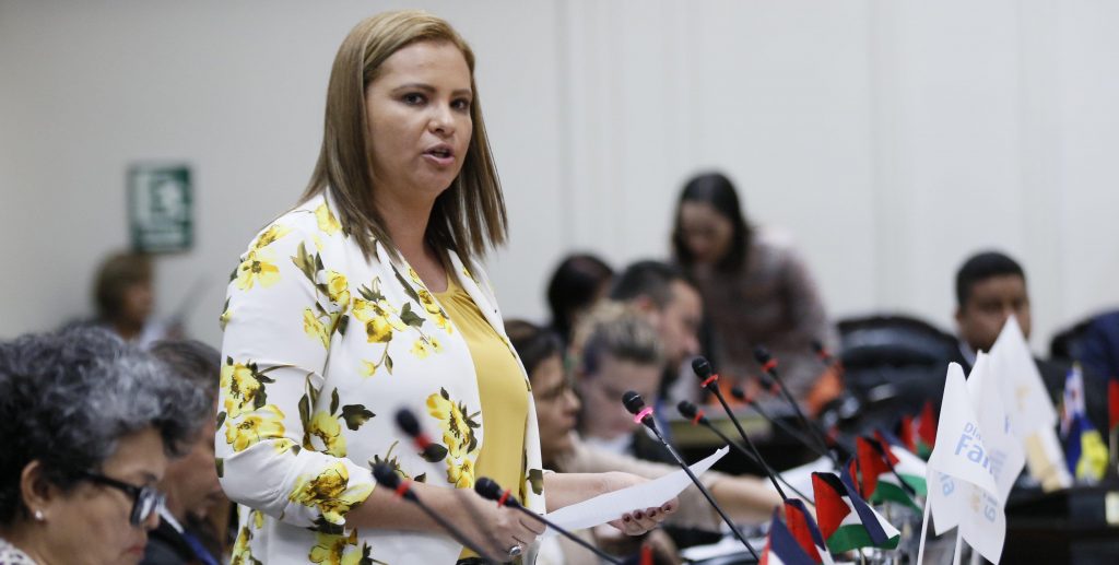 Imagen principal del artículo: La diputada Chan quiso tapar una torta y terminó revelando un tortón