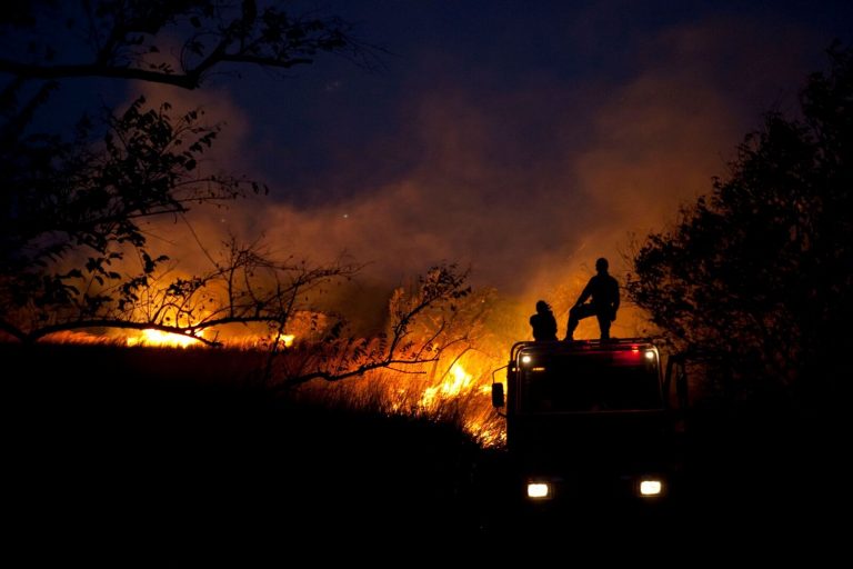 Incendios forestales de 2021 generaron 1.760 megatoneladas de emisiones de carbono