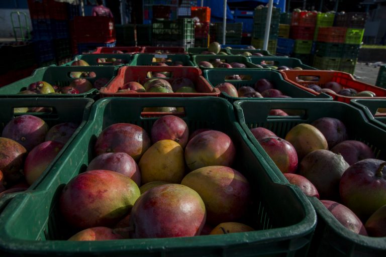 Trueque Humanitario recolecta alimentos para ayudar a familias afectadas por COVID-19