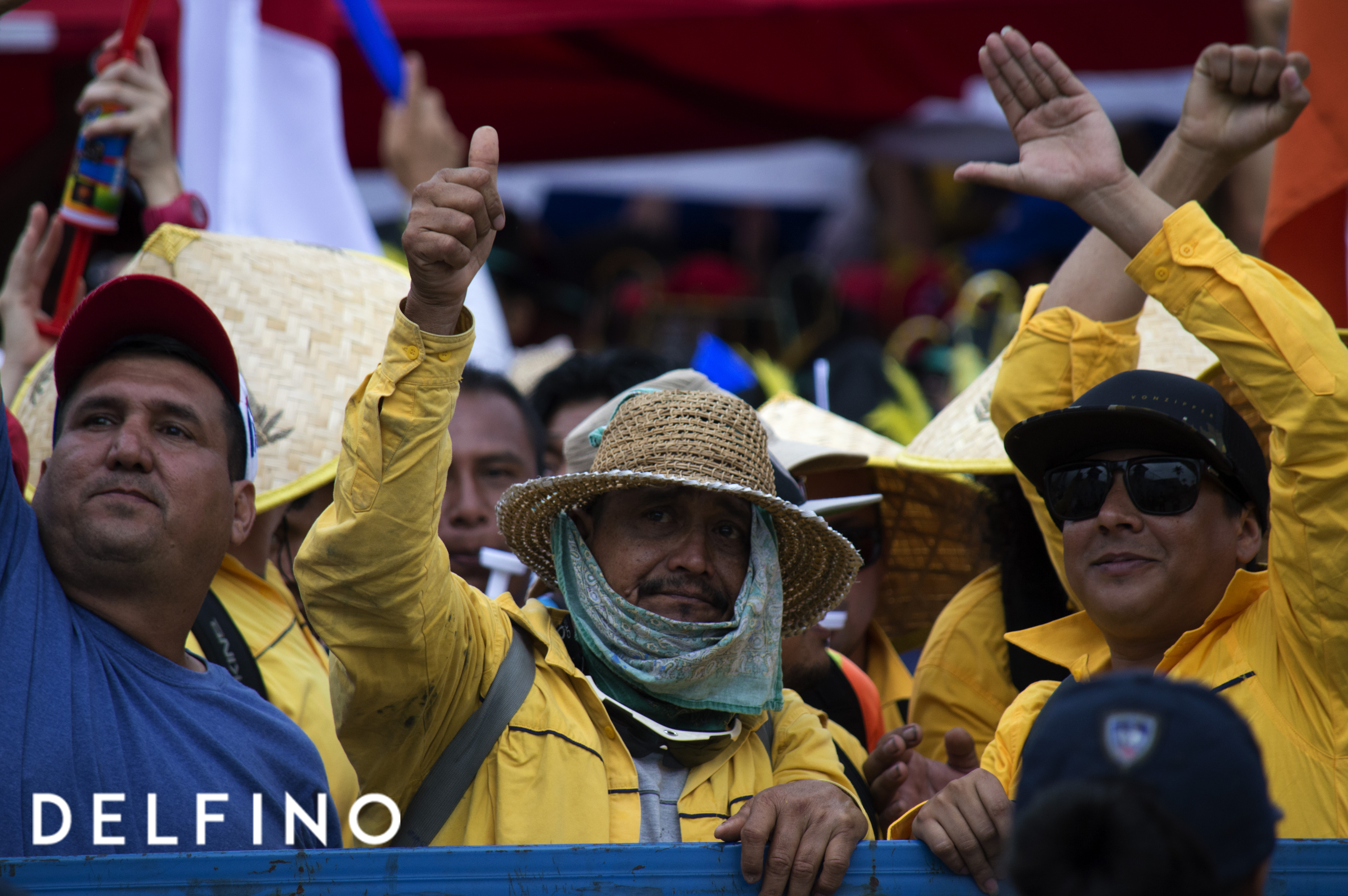 De gatos, letras, buses y una diputada muy valiente
