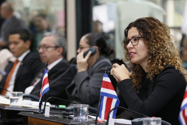 PLN y Republicano se dejan las secretarías suplentes del directorio