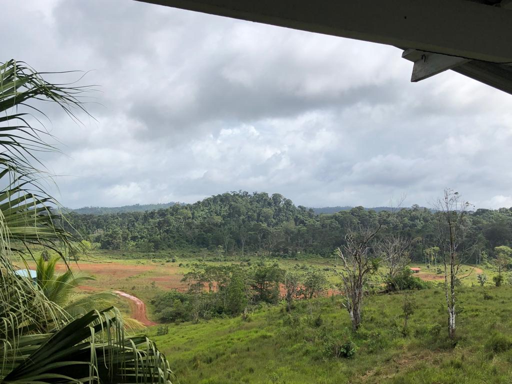 Imagen principal del artículo: Crucitas: memoria y futuro