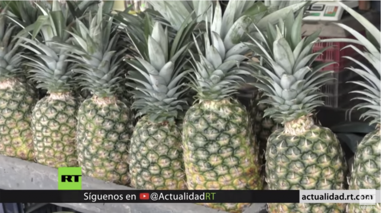 Costa Rica: el país que le vuelve la cara a las consecuencias de la piña