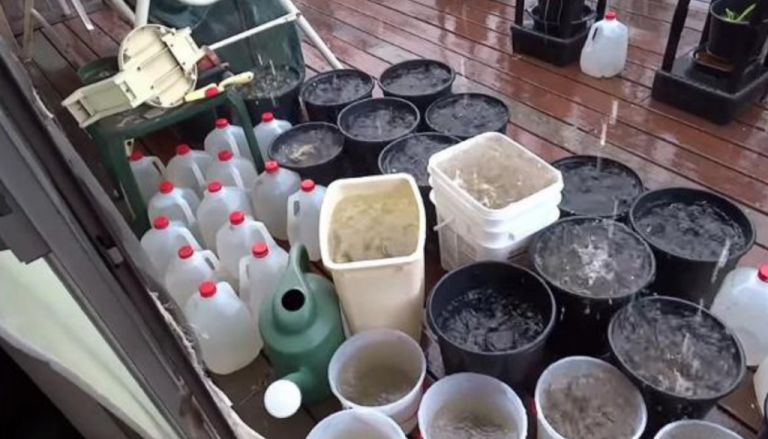 Estado de emergencia en Guanacaste, Puntarenas, Alajuela, Cartago y San José por déficit de lluvias