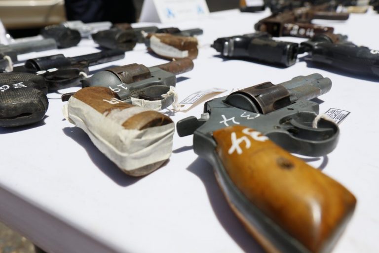 Diputados acogen moción para rebajar a dos la cantidad de armas permitidas por persona