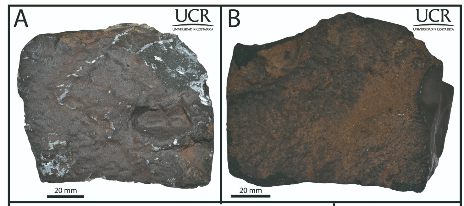 Imagen principal del artículo: Meteorito caído en San Carlos tiene una edad estimada en 4560 millones de años
