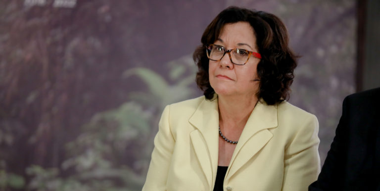 Giselle Cruz: "Un error técnico es suficiente para montar un escándalo político"