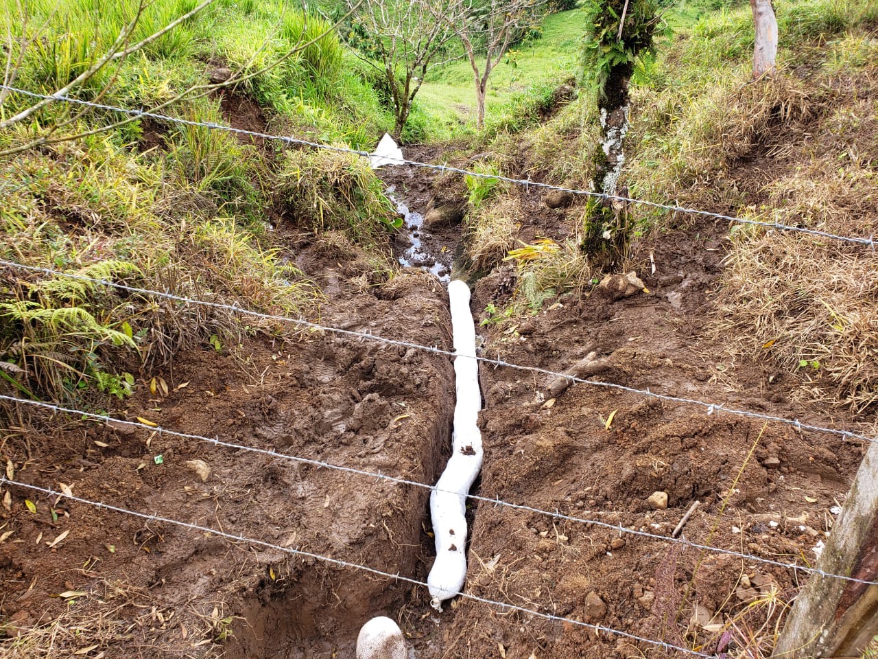 Imagen principal del artículo: Agua de Siquirres vuelve a ser potable tras más de 15 días contaminada con gasolina