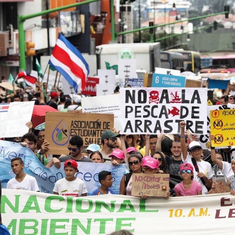 De la marcha por el ambiente y su impacto