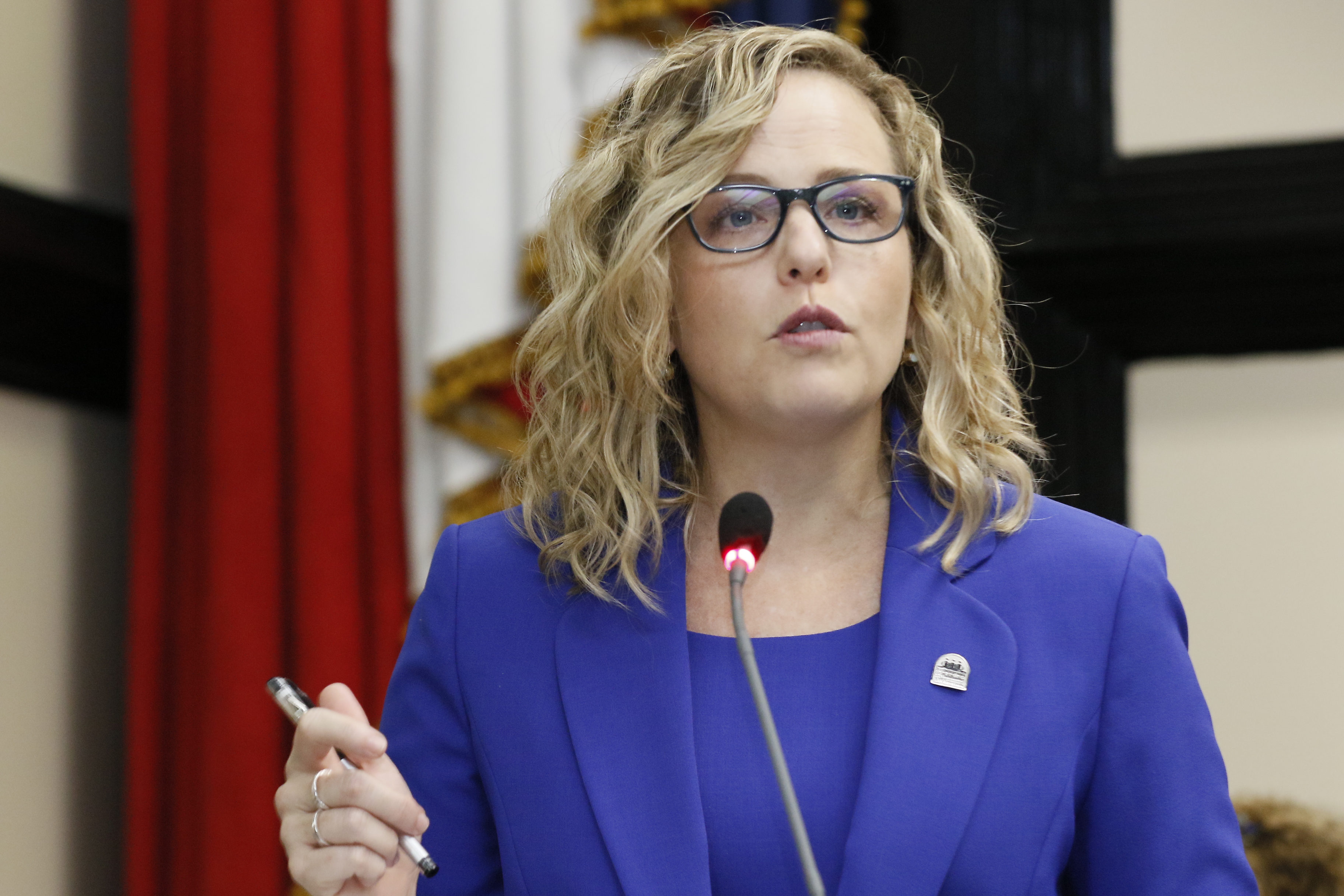 Imagen principal del artículo: Diputados denuncian a Catalina Crespo por beligerancia política