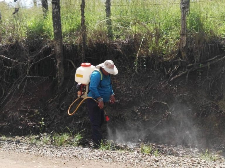 Cóbano y sus deudas en la lucha contra las fumigaciones en áreas públicas