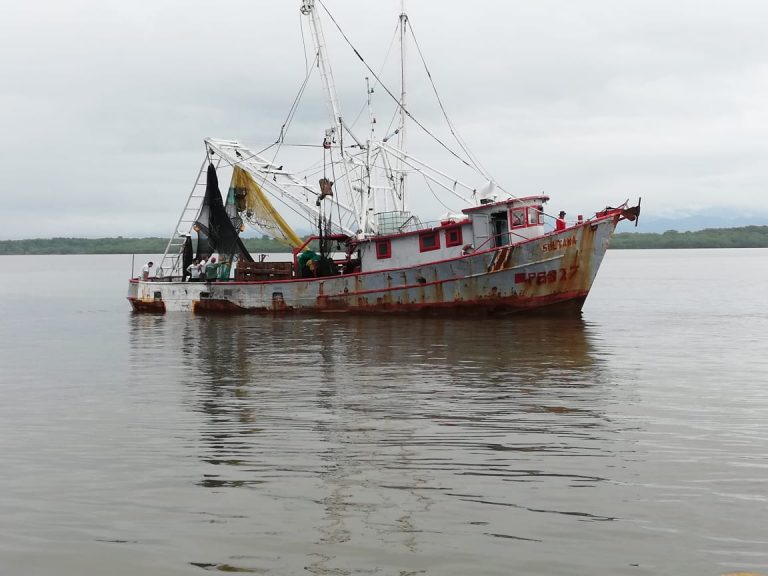 Fracasa licitación de Incopesca para estudio sobre pesca de arrastre