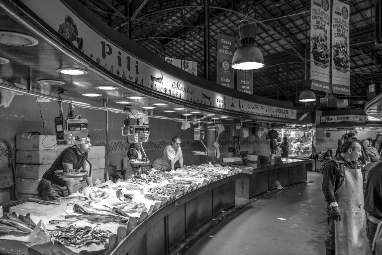 América Latina pierde el 20% de los alimentos a nivel mundial; región solo crece 0,2% a nivel económico, y octubre traerá tres nuevos mandatarios en el Cono Sur