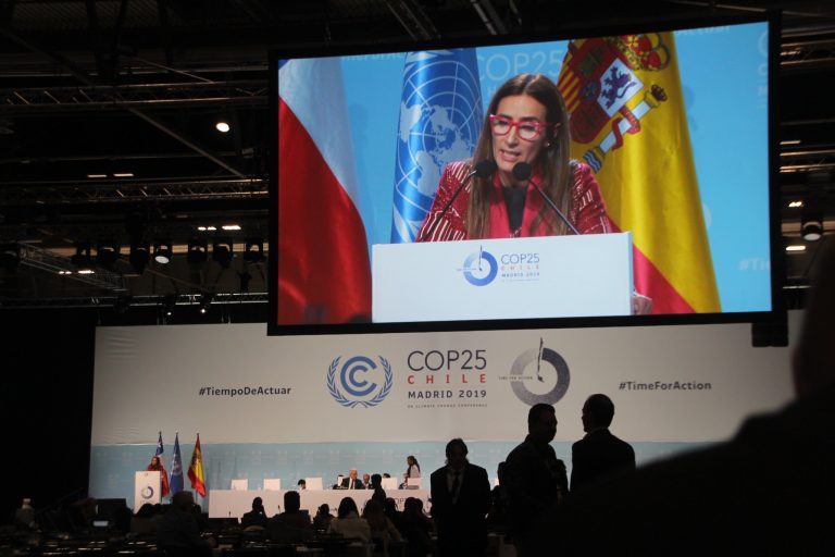 Protestas en India dejan 6 muertos; Johnson: “Brexit verá la luz en enero”; COP25 pocos logros