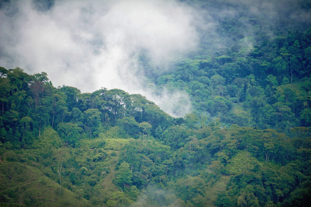 Imagen principal del artículo: OCDE vuelve a recomendar a Costa Rica la ratificación del Acuerdo de Escazú