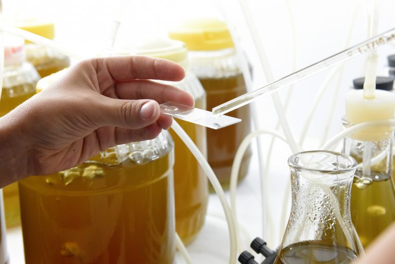 Costa Rica necesita más ciencia local para adaptarse al cambio climático