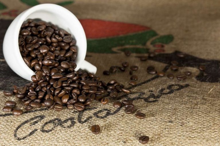 Exportaciones de café de Costa Rica aumentaron 37% durante noviembre