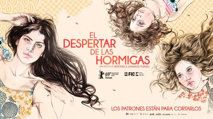 Trabajo de hormigas… por la equidad de género