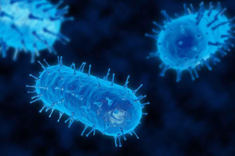 ¿Cuáles son los síntomas de los parásitos cerebrales? ¿Cuáles son los síntomas de los parásitos cerebrales?
