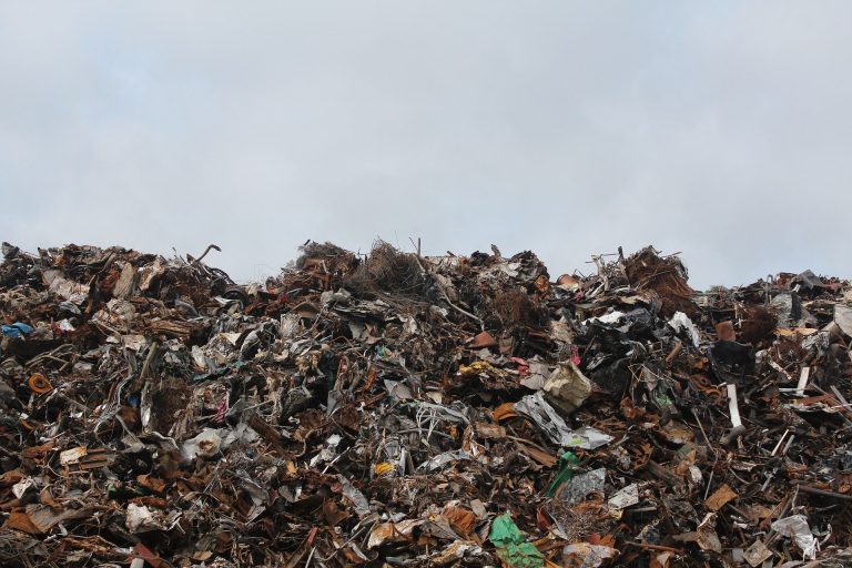 De 500 toneladas diarias de basura, San José solo recicla el 2%