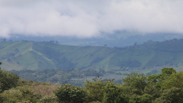 Carta al señor presidente de Costa Rica