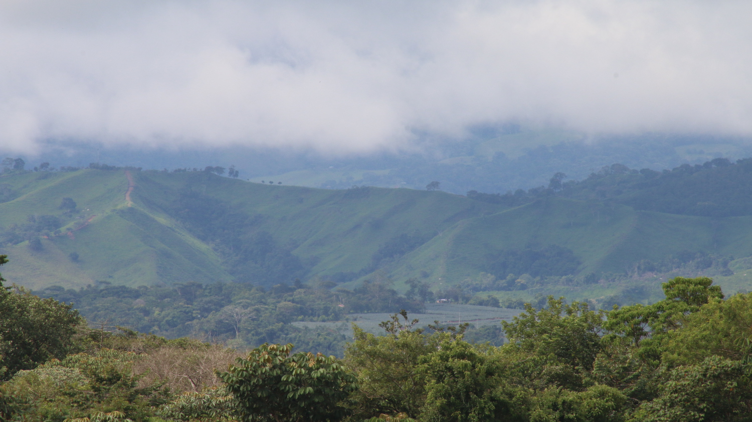 Imagen principal del artículo: Carta al señor presidente de Costa Rica