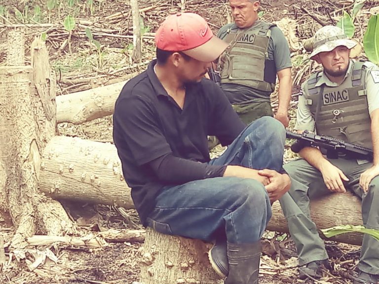 Autoridades ambientales desarman organización maderera ilegal en el Caribe Sur
