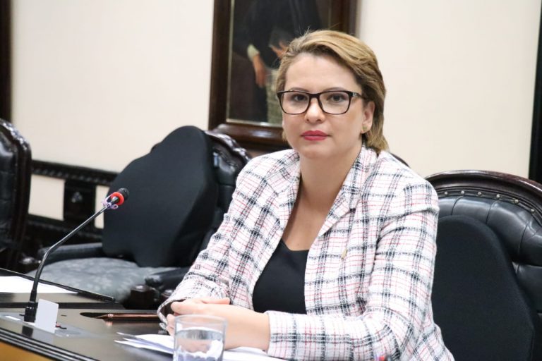 Diputada dice que incentivo a turismo LGBTI+ afectará visitación de conservadores