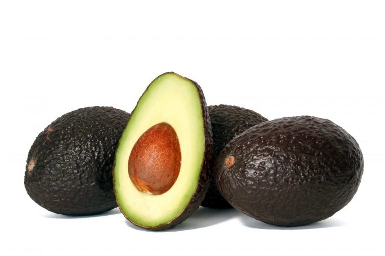 Tribunal condena al Estado por restricciones al aguacate mexicano tipo hass