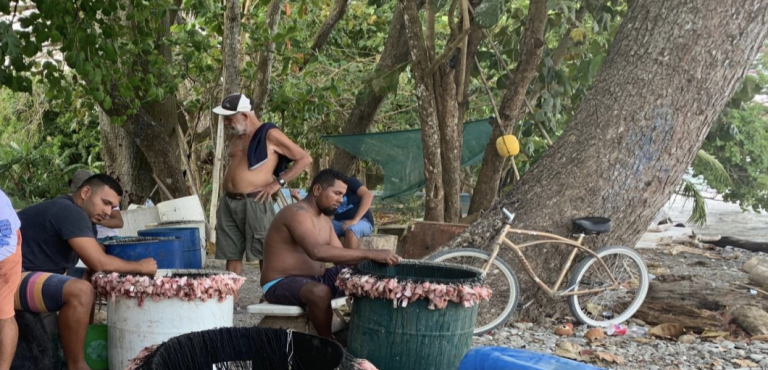 Pescadores reclaman inacción del Ejecutivo ante crisis que COVID-19 está ocasionando en el sector