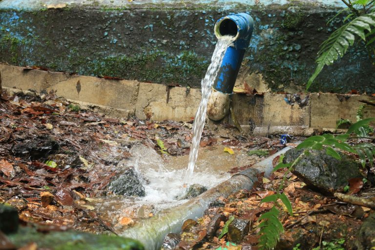 Coopesantos R.L. donará 10 000 árboles para proteger el agua de comunidades rurales