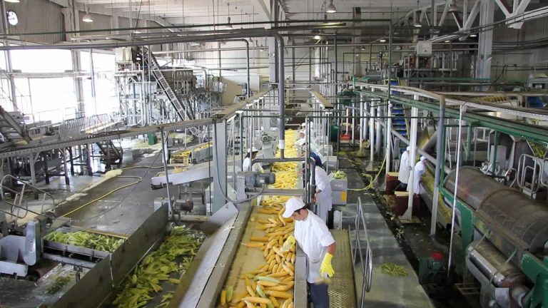 Economía en mayo creció  4,1% interanualmente