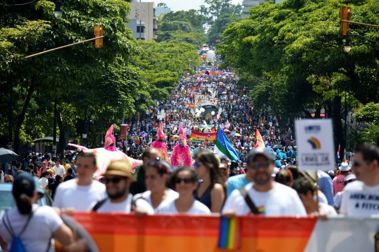 Apoyo firme a la Declaratoria Cultural de la Marcha de la Diversidad