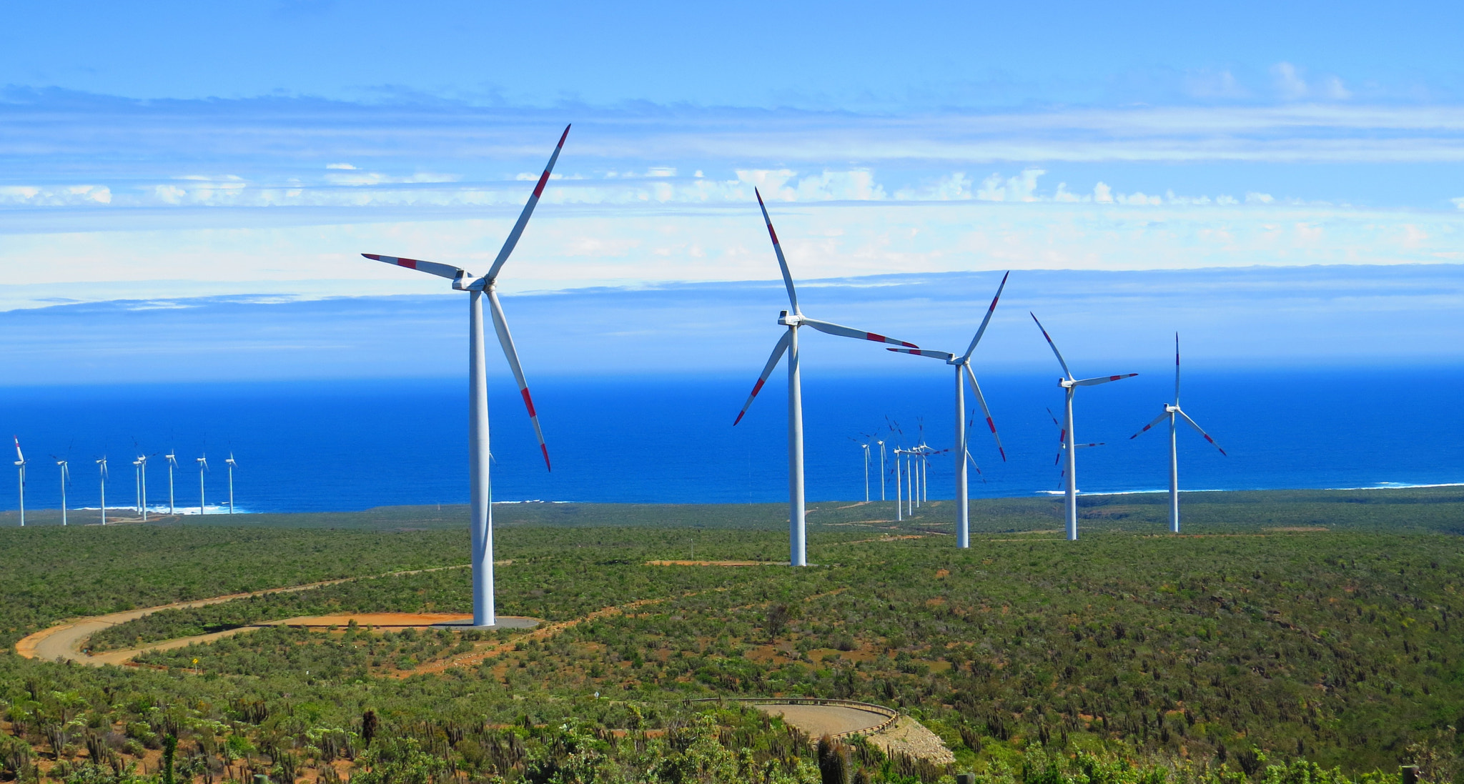 Imagen principal del artículo: La pandemia vuelve protagonista a las energías renovables
