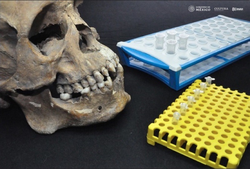 Imagen principal del artículo: Identifican a africanos de primera generación en América