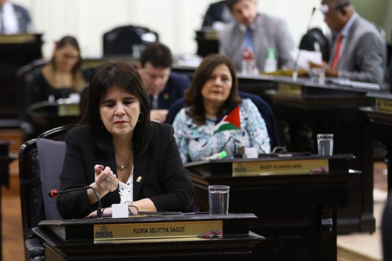 12 diputados frenan segundo debate de Ley contra Acoso Callejero por consulta a la Sala IV