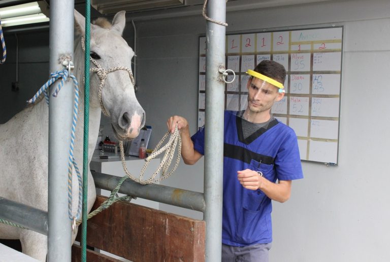Román Macaya reconoce que suero equino no ha tenido la eficacia deseada