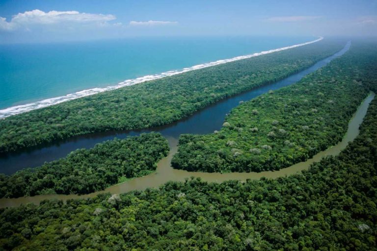 Minae reabre 15 áreas protegidas más con aforo del 50%