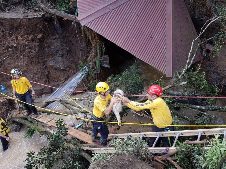 CNE incorpora "alerta naranja" y separará confirmados, sospechosos y sanos ante COVID-19 en albergues