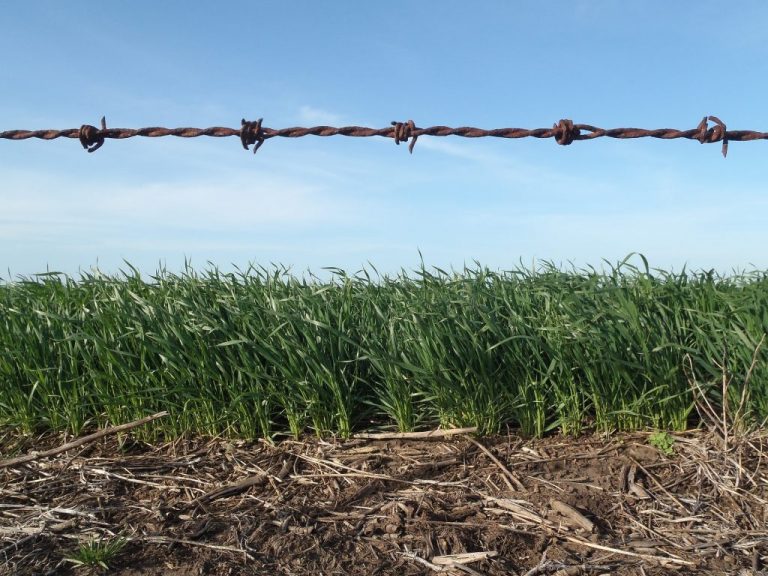 Salud ordena cierre temporal a empresas Bajo Cero Exportadores y Congelados ByC en la Zona Norte