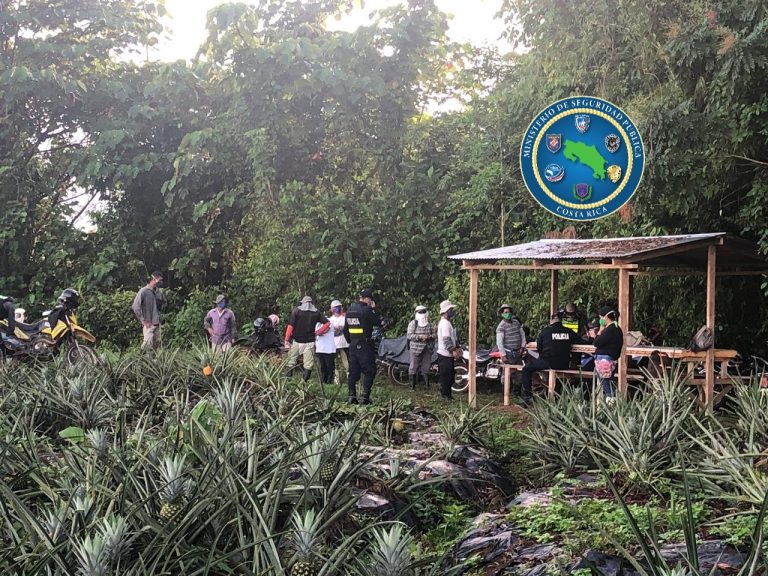 Suman 22 empresas agrícolas cerradas en la Zona Norte por violar la Ley de Salud