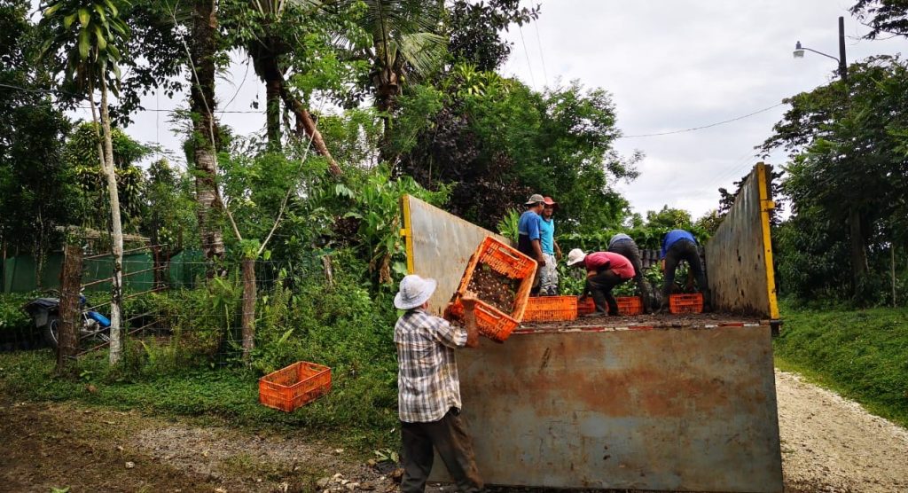 Las amenazas que profundizan la desigualdad en las familias rurales