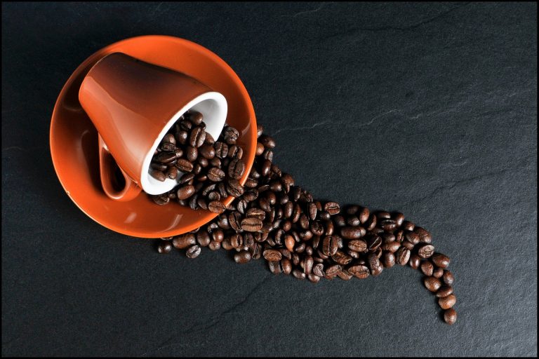 La importancia del secado del grano de café para negociar mejores precios